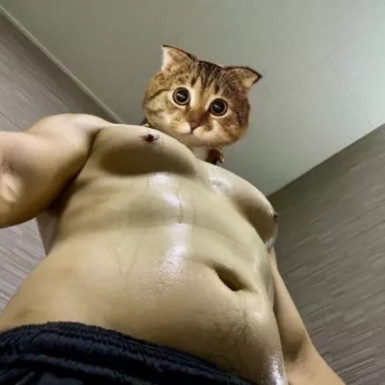 @tjlam81