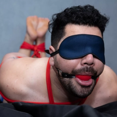 @tiedmanbrasil
